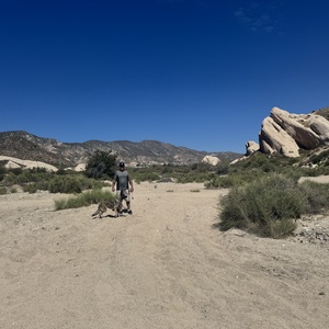 Fundraising Page: Lisa Manchell